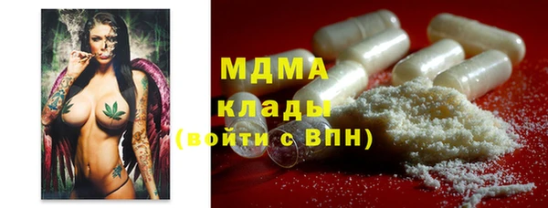 гидра Арсеньев
