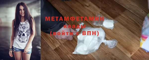 гидра Арсеньев