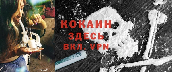 гидра Арсеньев