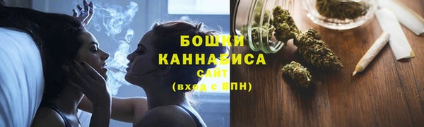 гидра Арсеньев