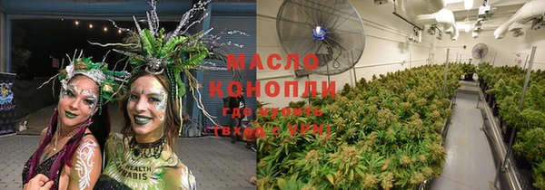 гидра Арсеньев